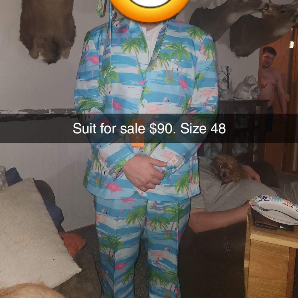 Mens Flamingo Suit